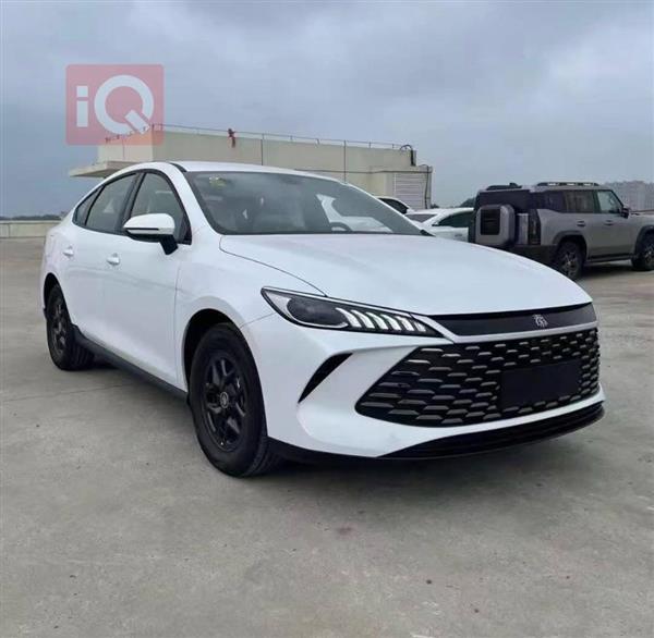 بي واي دي Qin Plus 2025 للبيع في العراق -  بغداد